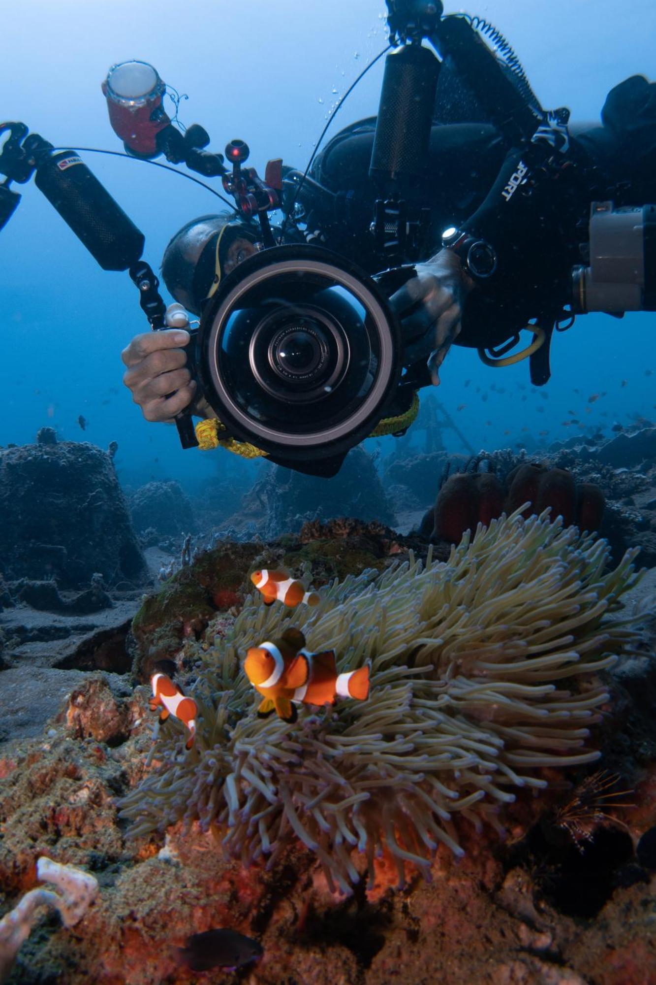 Vitaminsea Room Dauin Εξωτερικό φωτογραφία