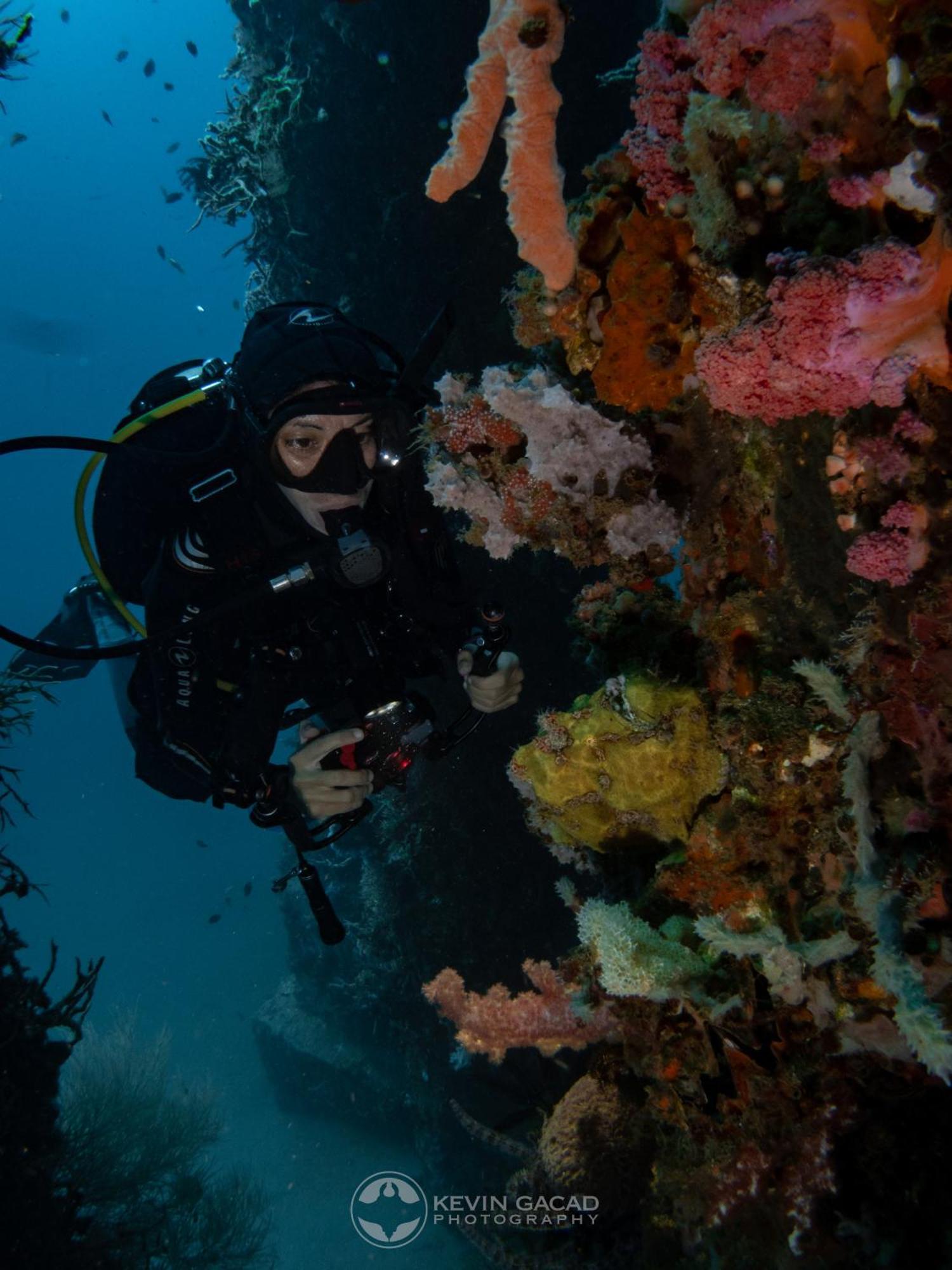 Vitaminsea Room Dauin Εξωτερικό φωτογραφία