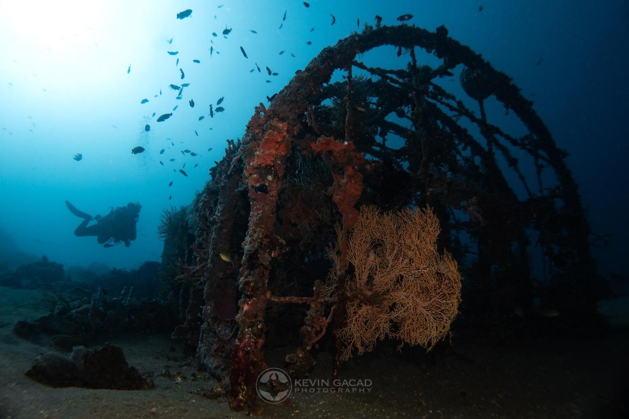 Vitaminsea Room Dauin Εξωτερικό φωτογραφία